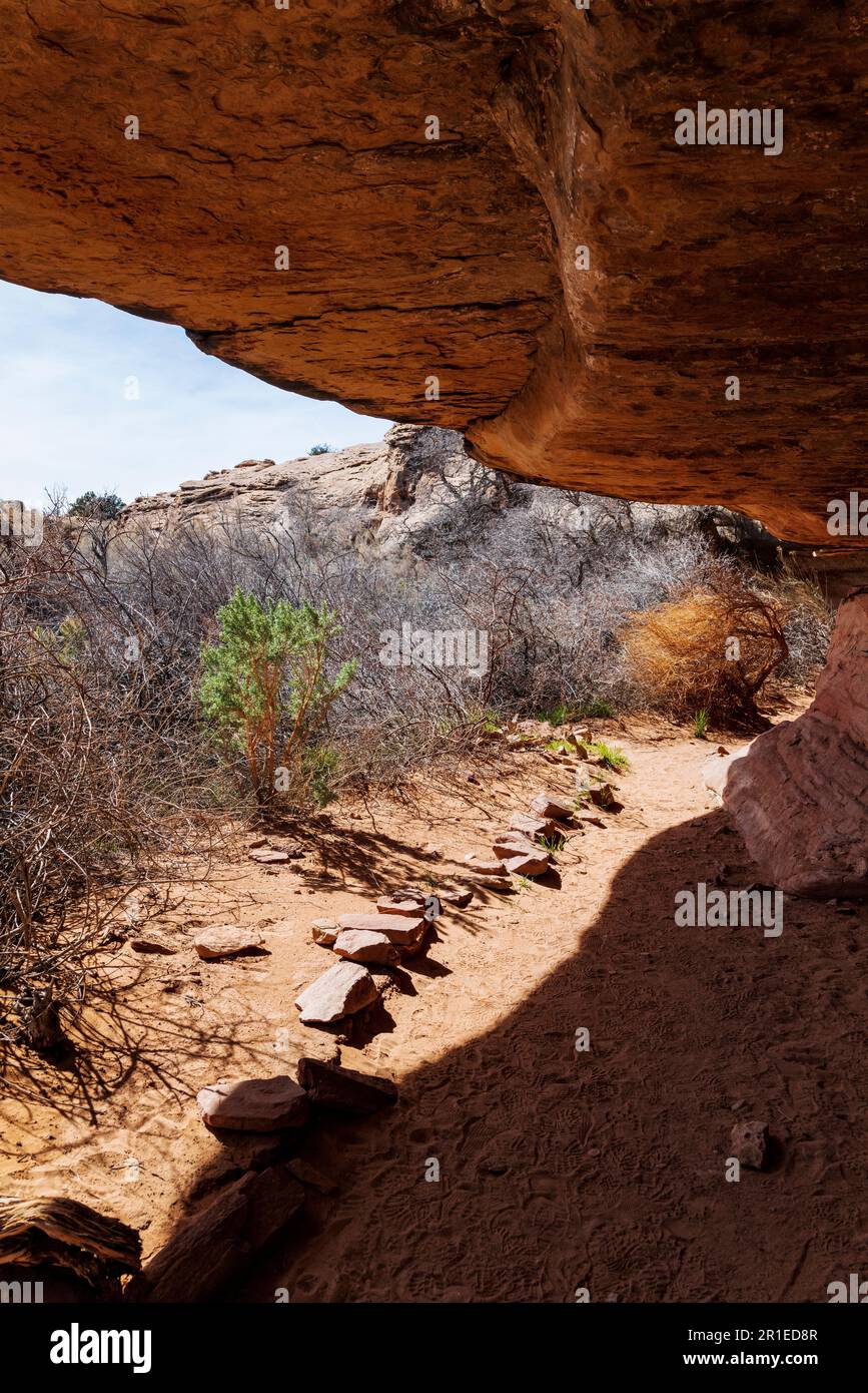 Cave Spring Trail; 1,000 year old ancestral site & cowboy camp; Canyonlands National Park; Utah; USA Stock Photo