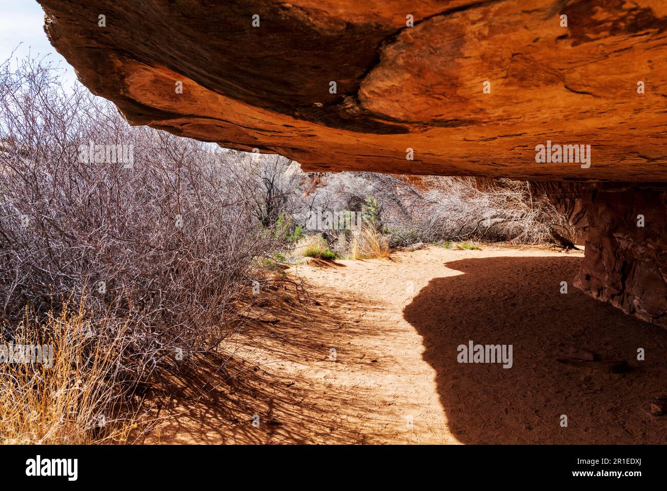 Cave Spring Trail; 1,000 year old ancestral site & cowboy camp; Canyonlands National Park; Utah; USA Stock Photo