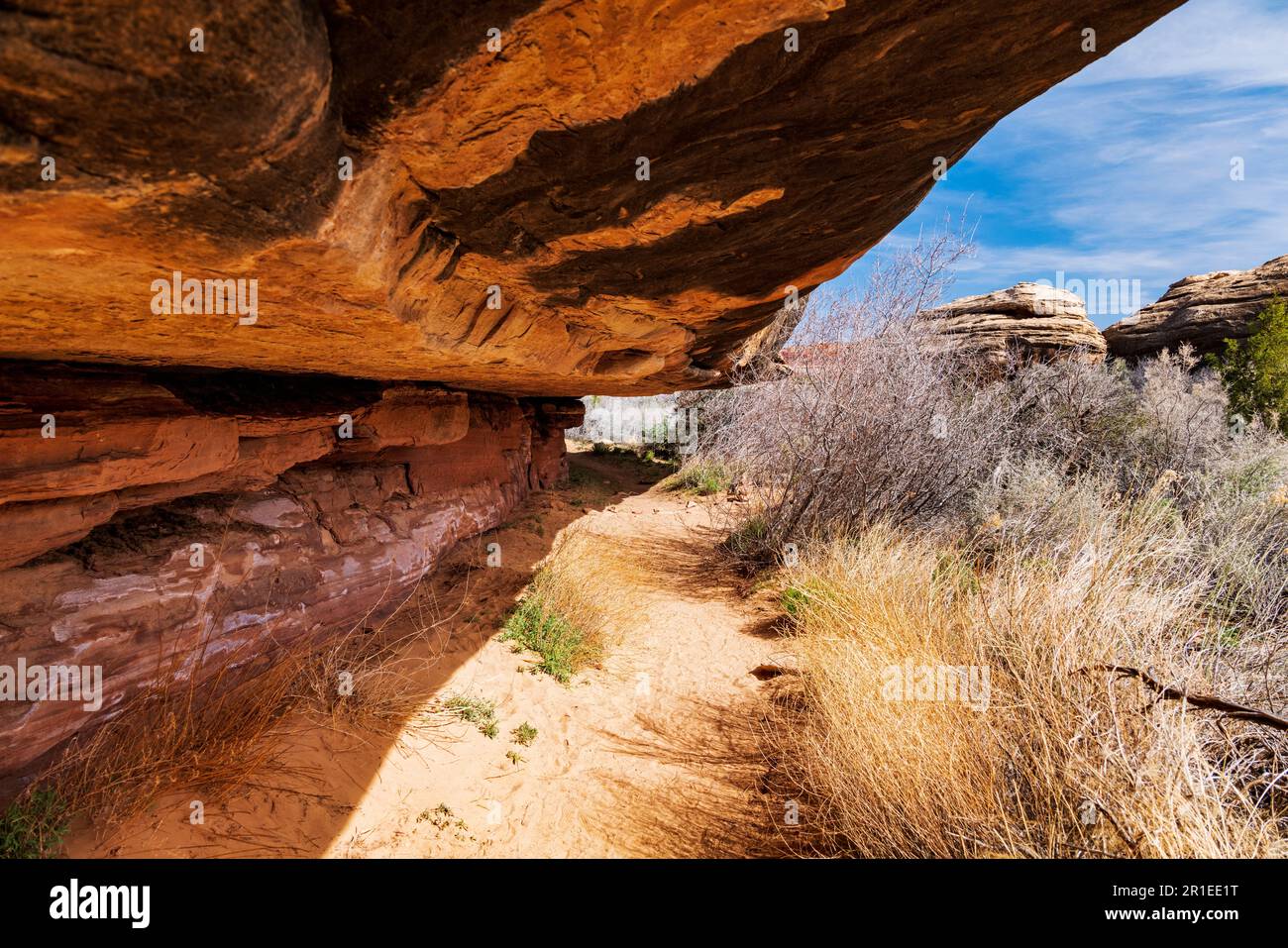 Cave Spring Trail; 1,000 year old ancestral site & cowboy camp; Canyonlands National Park; Utah; USA Stock Photo