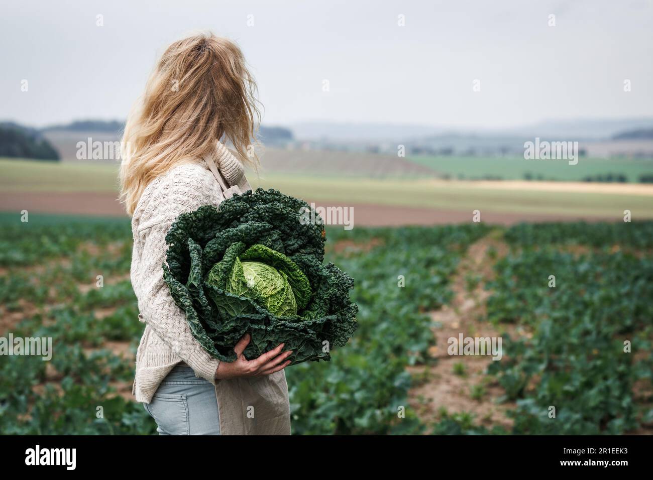 Farmer holding big kale cabbage at agricultural field. Autumn harvest. Woman working in organic farm Stock Photo