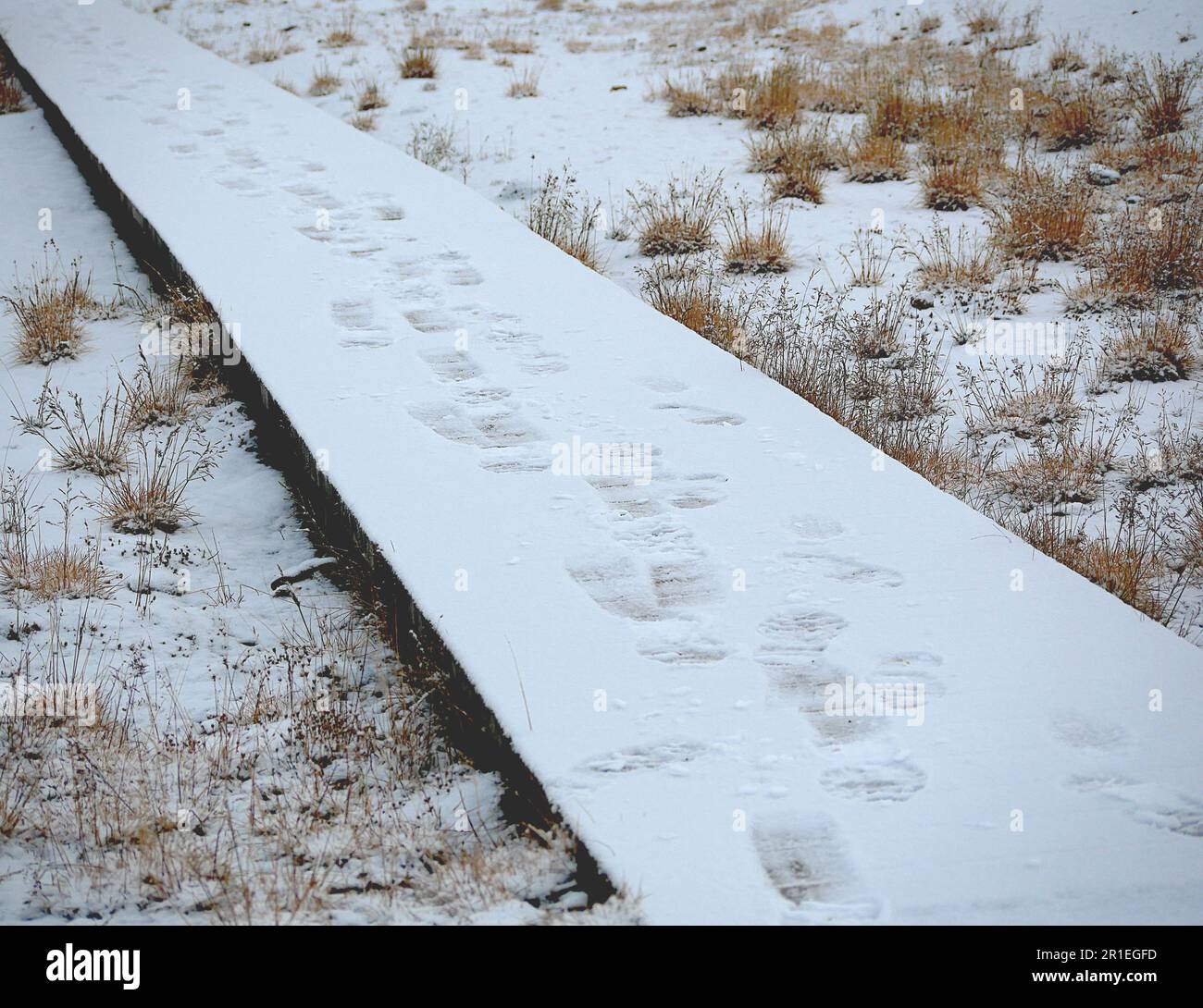 snow covered wooden walkway in between grass Stock Photo Alamy