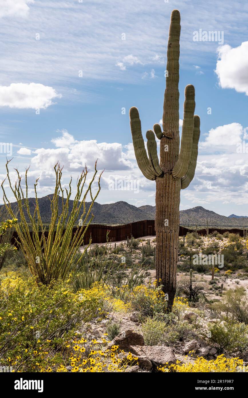 Lukeville arizona hires stock photography and images Alamy