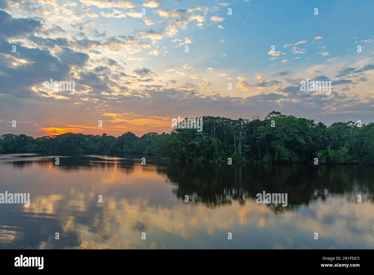 Amazon rainforest river sunrise, Yasuni national park, Ecuador. Stock Photo