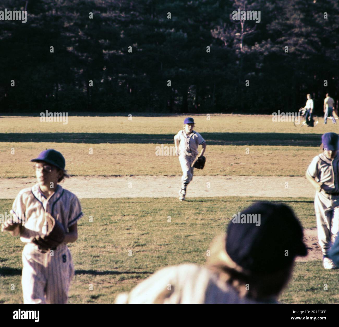 Little league baseball players in the 1970s ca. 1976 Stock Photo Alamy