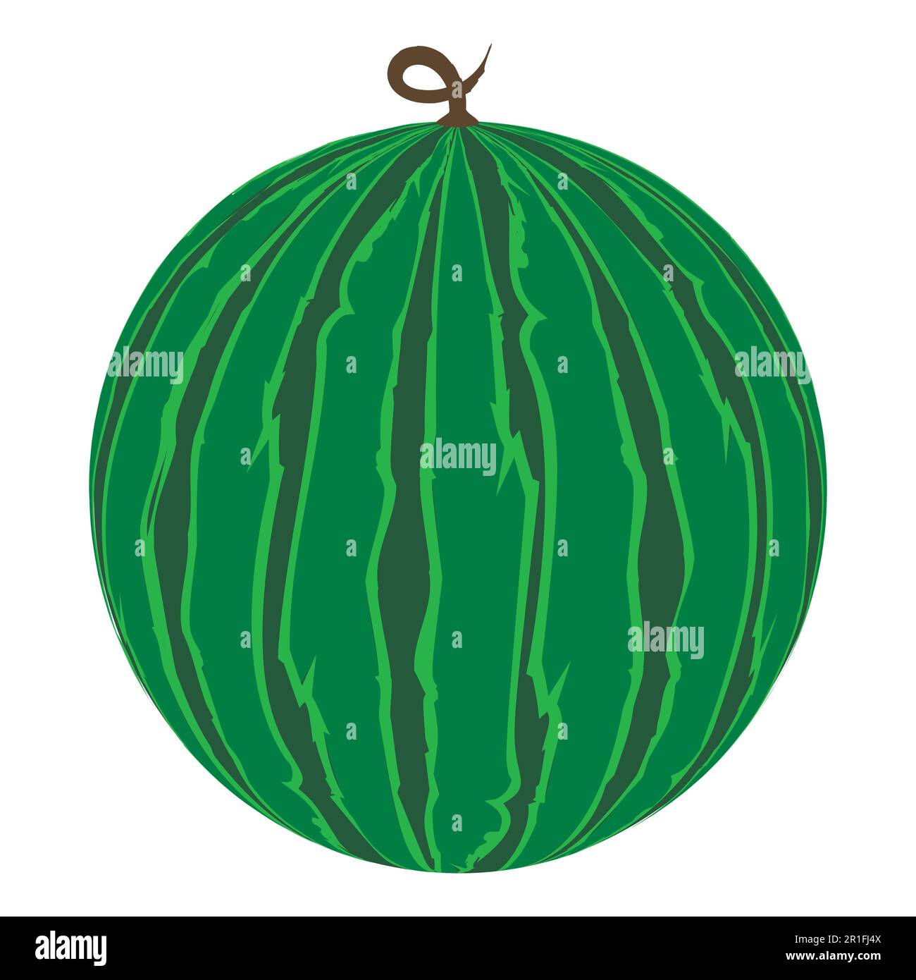 watermelon ripe juicy vector illustration isolated on white background ...