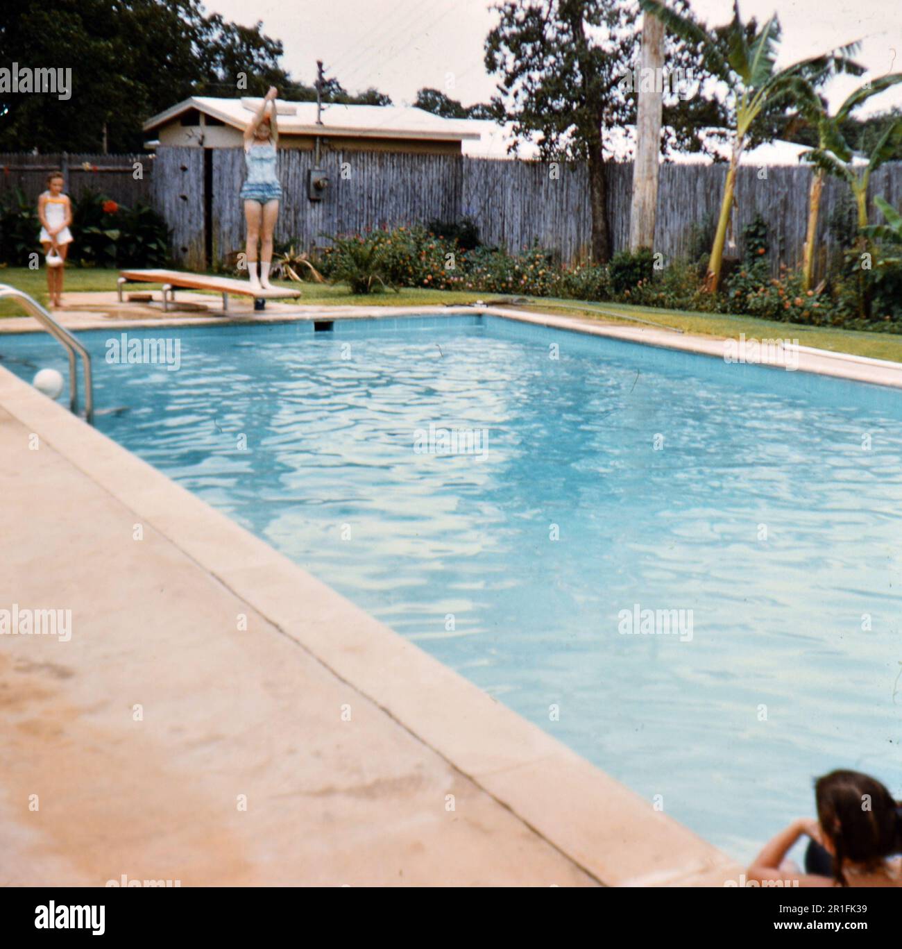1950s girl on diving board hires stock photography and images Alamy