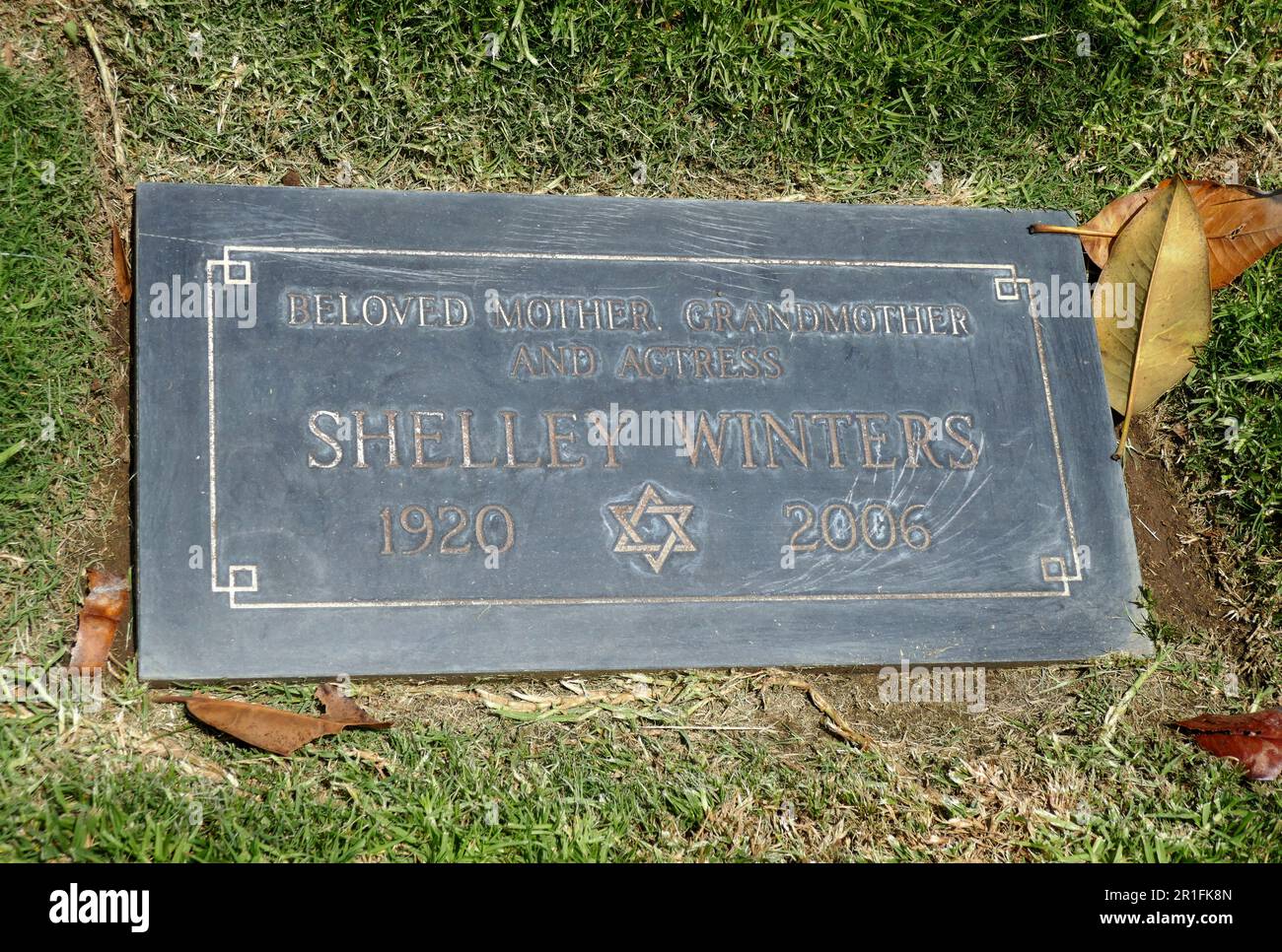 Shelley and grave hi-res stock photography and images - Alamy