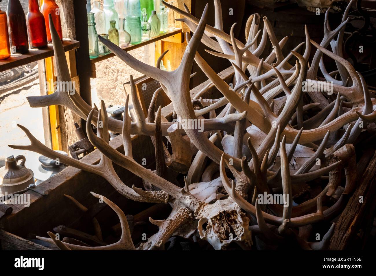 Deer antlers at the Turquoise Mining Museum in Cerrillos, New Mexico, USA Stock Photo