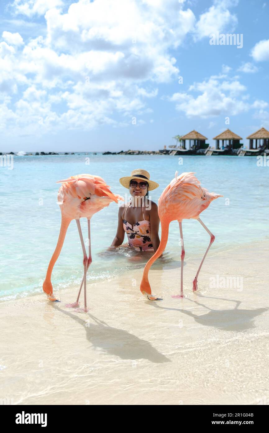 Asian women on the beach with pink flamingos at Aruba, flamingo at the ...