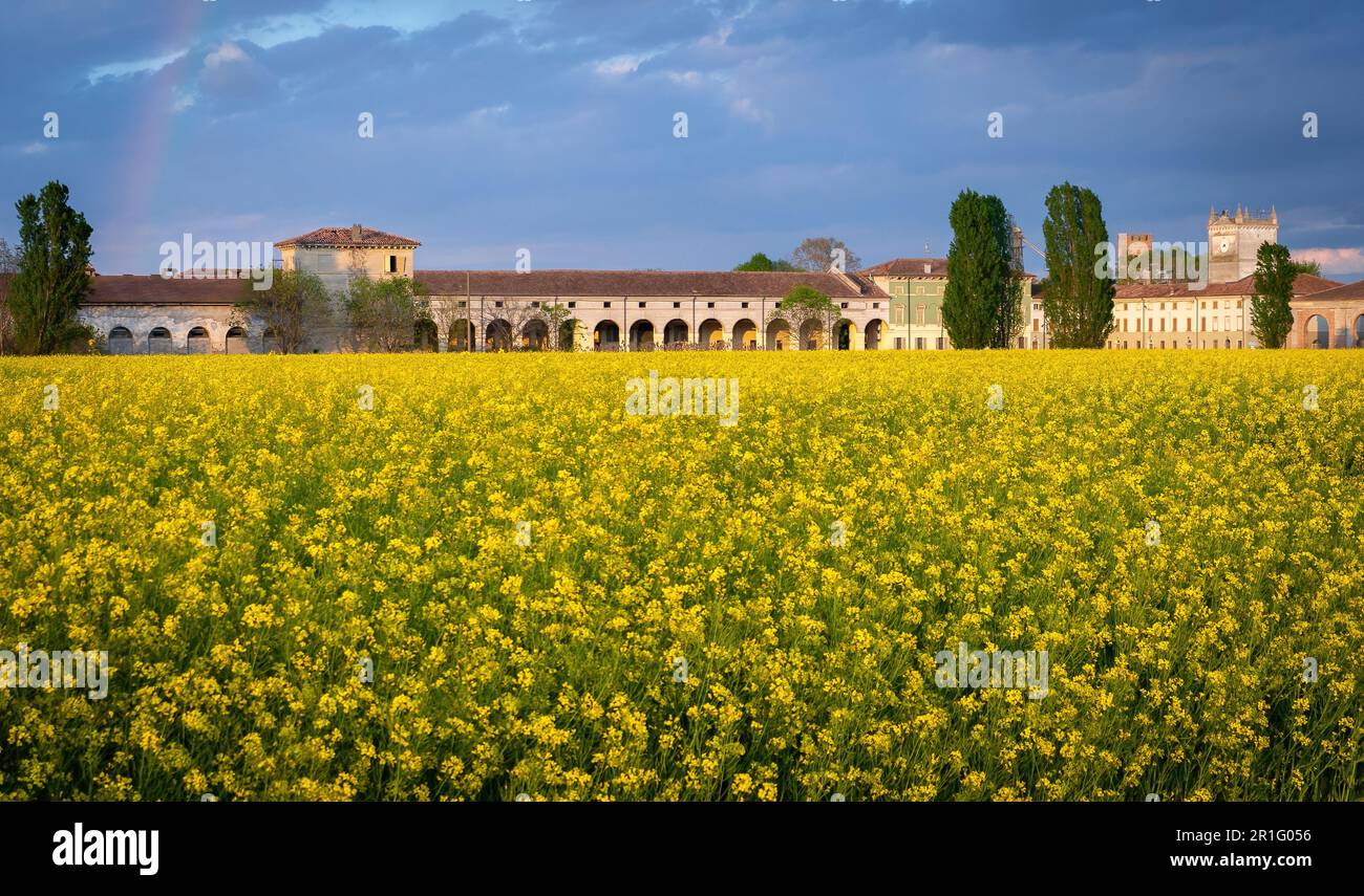 Corte Spinosa Porto Mantovano Italia, Villa Gonzaghesca edificata da