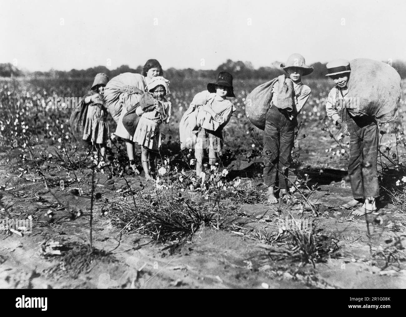 archival-photo-poor-white-children-picking-cotton-in-the-rural-south-ca-1909-1932-2R1G08K.jpg