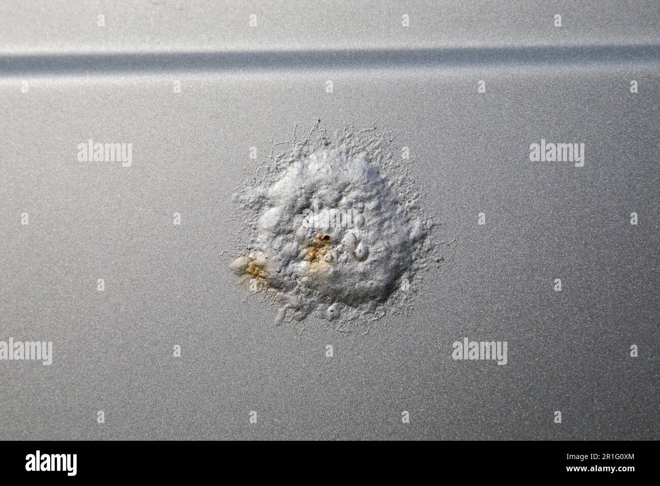Blown paint bubble, rust spot on car. Peeled paint Stock Photo Alamy
