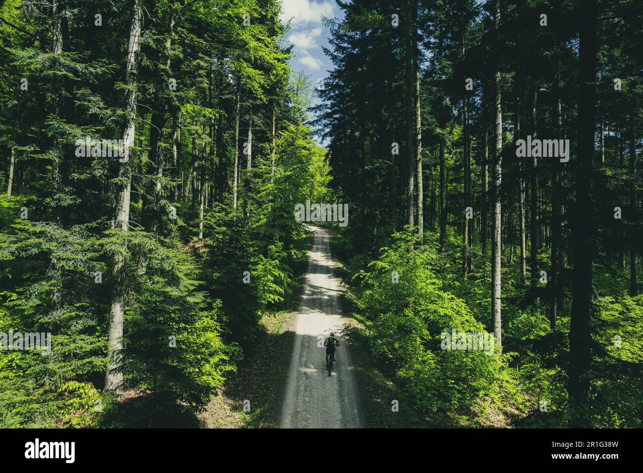 Forest Aerial Rides Woodland ride drone hi-res stock photography and images - Alamy