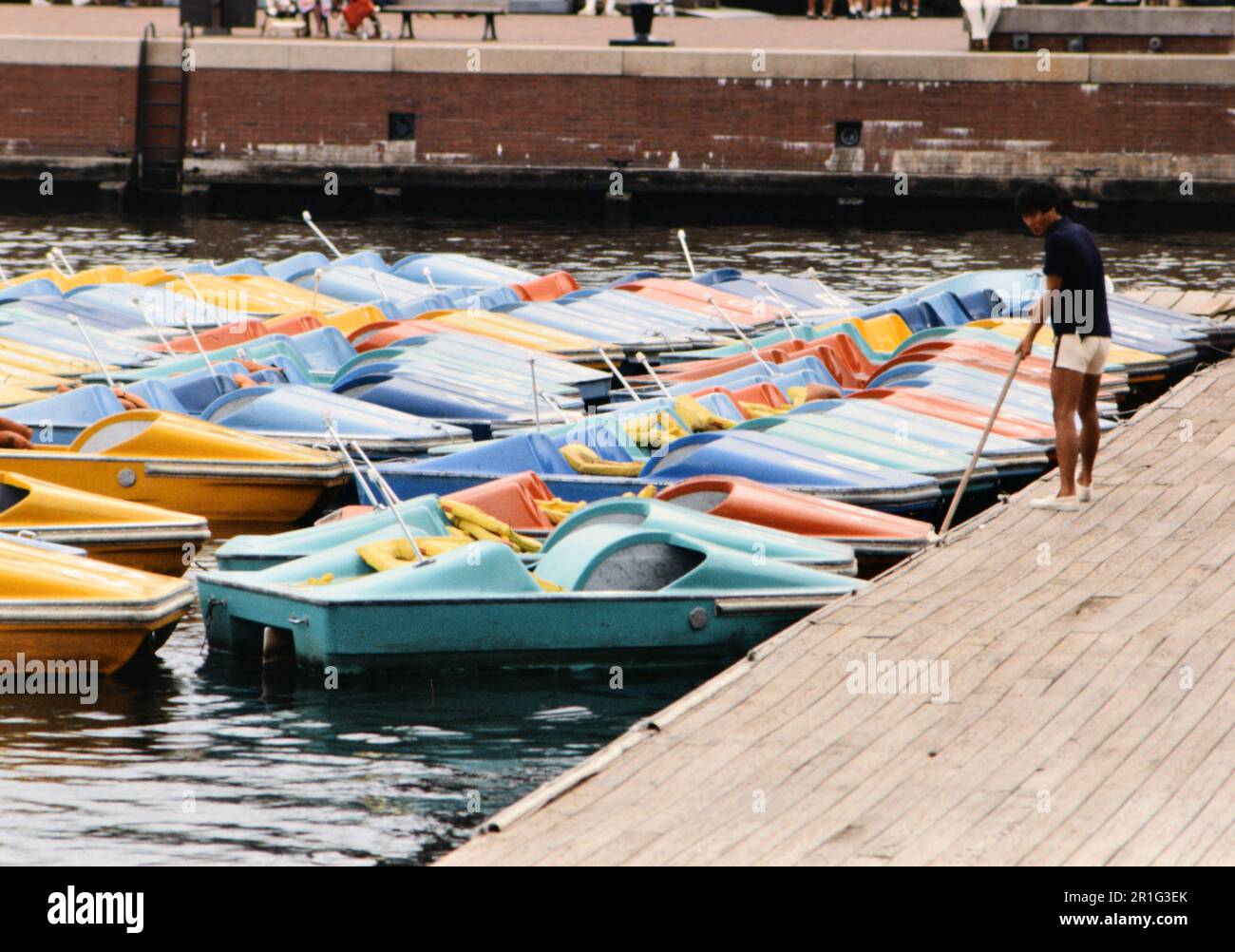 Paddleboat rental employee moving boats at Harborplace in Baltimore ca