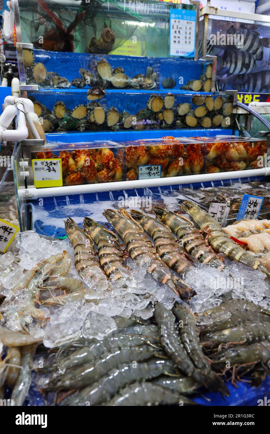 Street Food in South Korea Stock Photo - Alamy