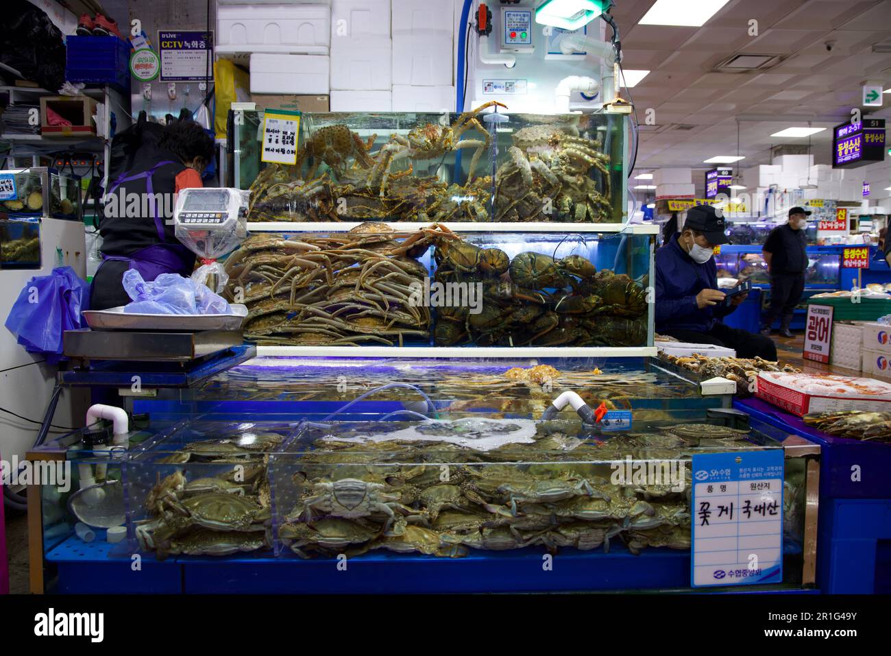 Seafood Market in South Korea Stock Photo