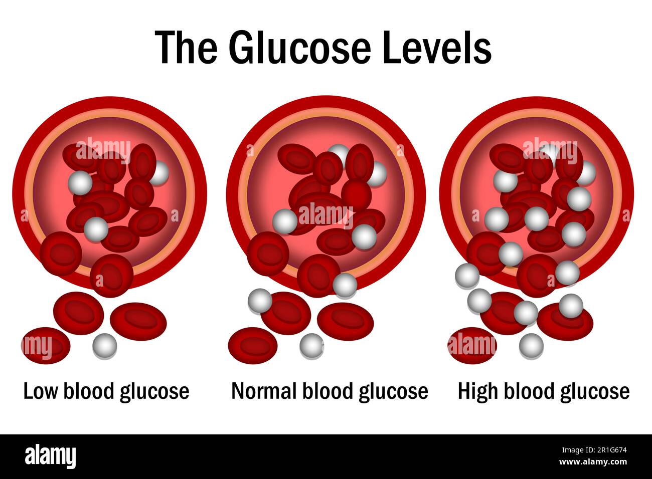 Glucose level with blood vessel, 3d rendering Stock Photo Alamy