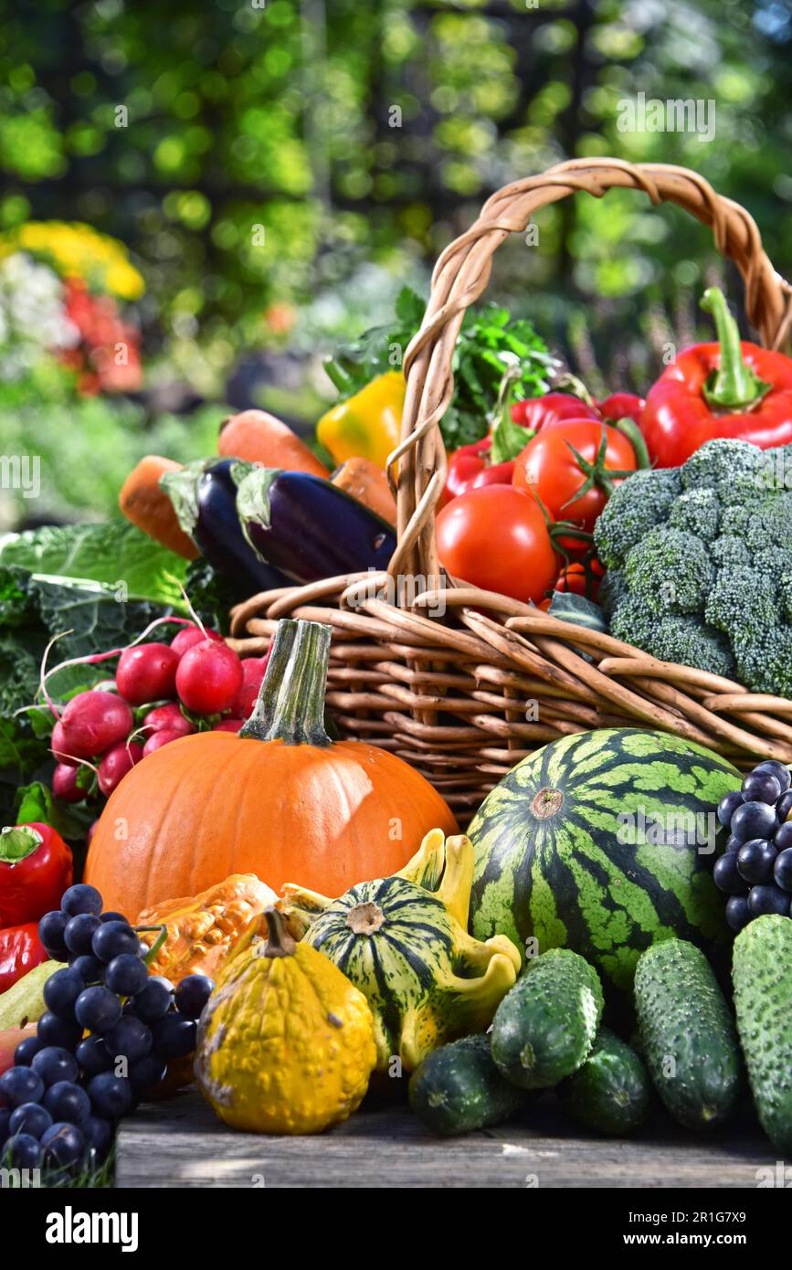 Variety of fresh organic vegetables and fruits in the garden. Balanced ...