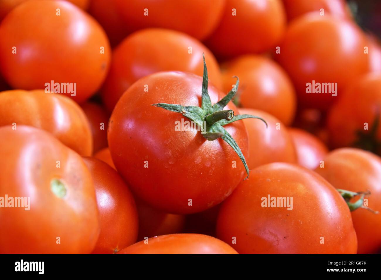 Fresh organic tomatoes on street market stall Stock Photo
