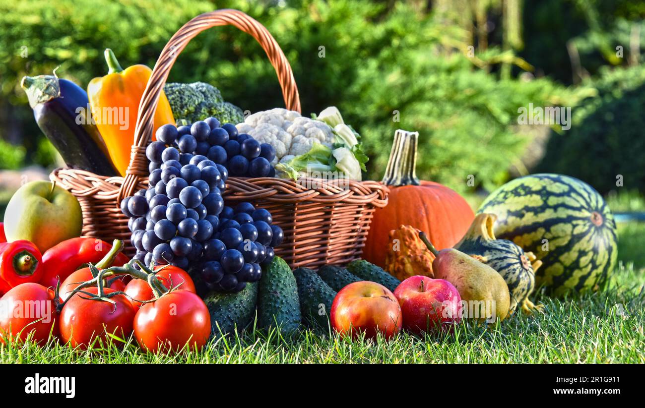 Variety of fresh organic vegetables and fruits in the garden. Balanced ...
