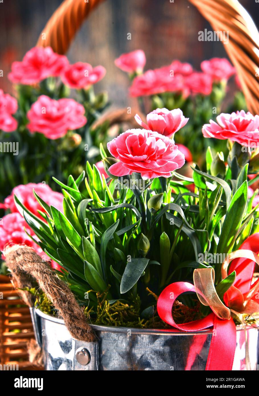 Composition with bouquet of carnations Stock Photo