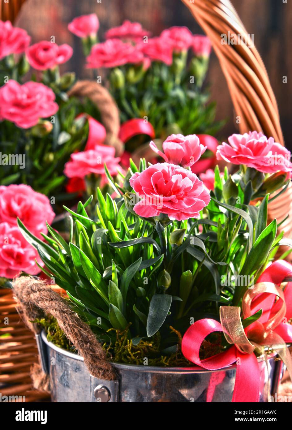 Composition with bouquet of carnations Stock Photo