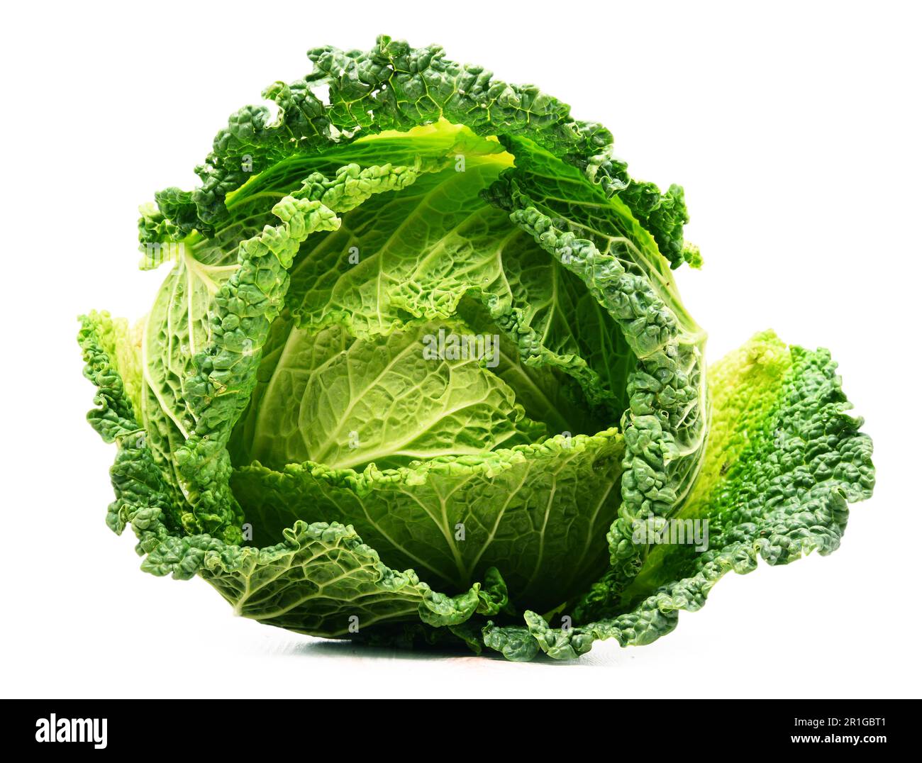 Fresh organic cabbage head isolated on white background Stock Photo