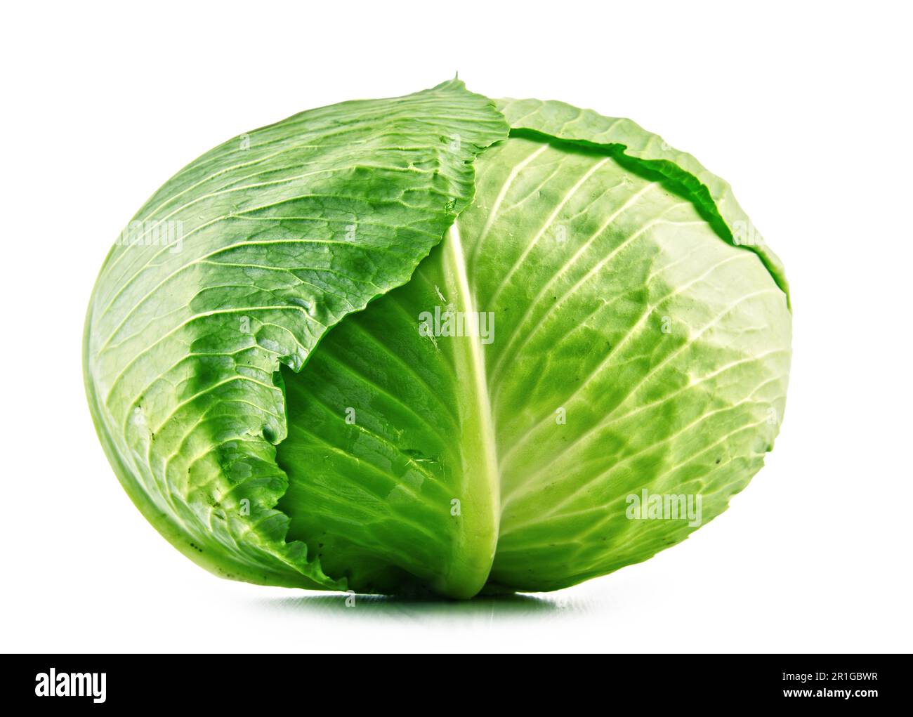 Fresh organic cabbage head isolated on white background Stock Photo