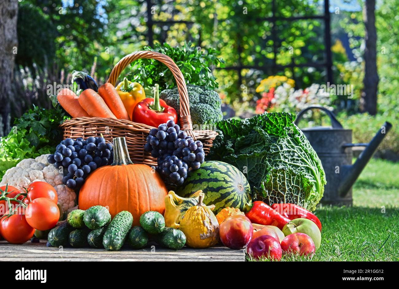 Variety of fresh organic vegetables and fruits in the garden. Balanced ...