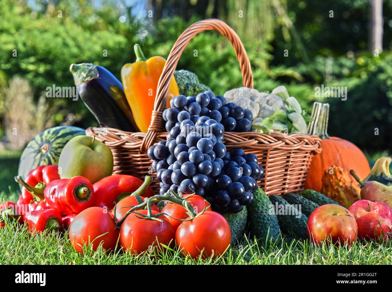 Variety of fresh organic vegetables and fruits in the garden. Balanced ...