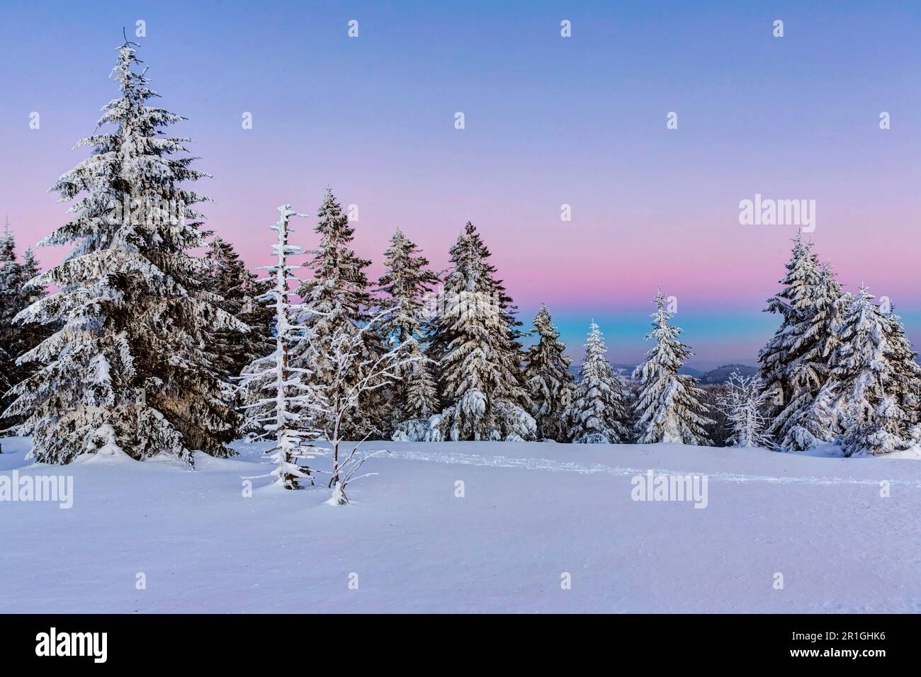 Winter landscape in the Black Forest, sunset, Black Forest High Road, B500, Baiersbronn, Baden-Wuerttemberg, Germany Stock Photo