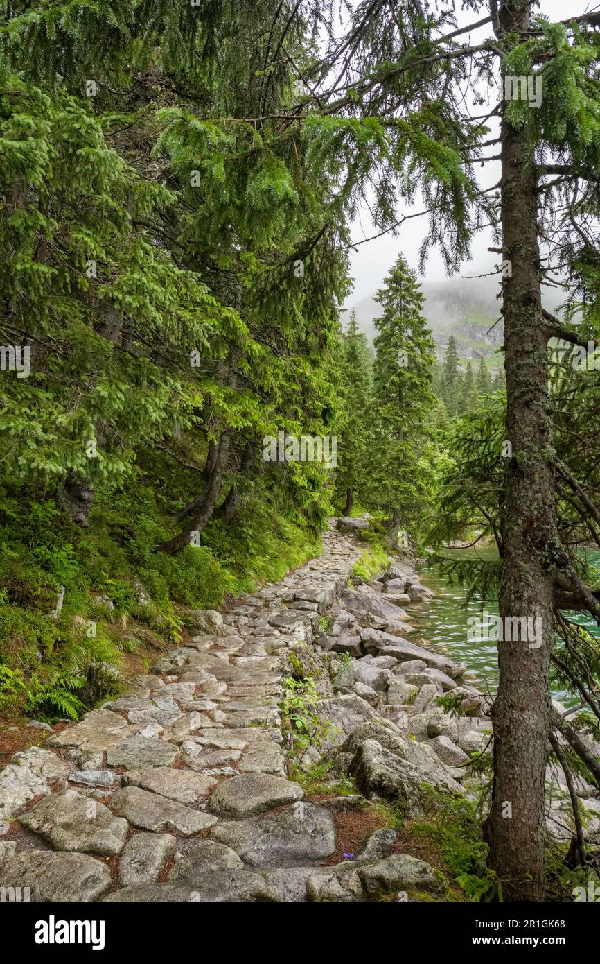 A stone path along Morskie Oko Lake in Tatra National Park, Southern Poland. Stock Photo