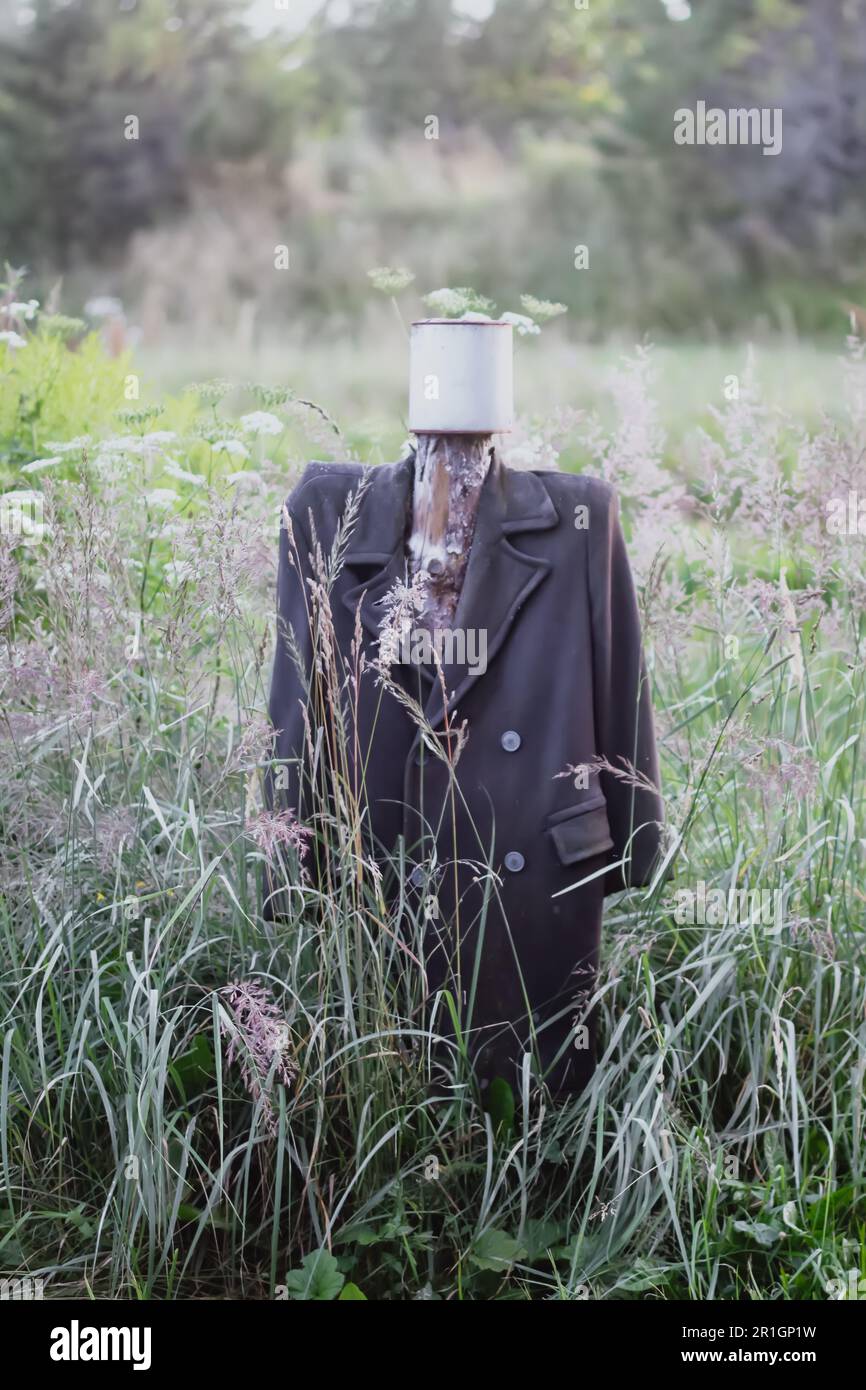 Scarecrow in the rural field Stock Photo - Alamy