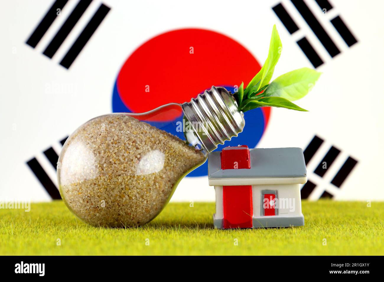 Plant growing inside the light bulb, miniature house on the grass and