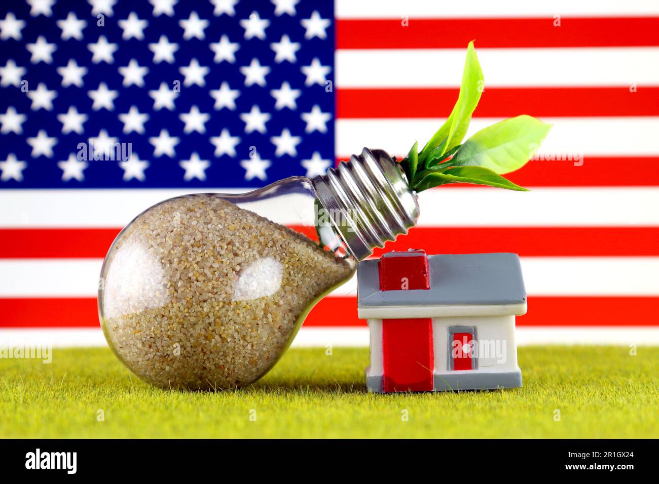 Plant growing inside the light bulb, miniature house on the grass and