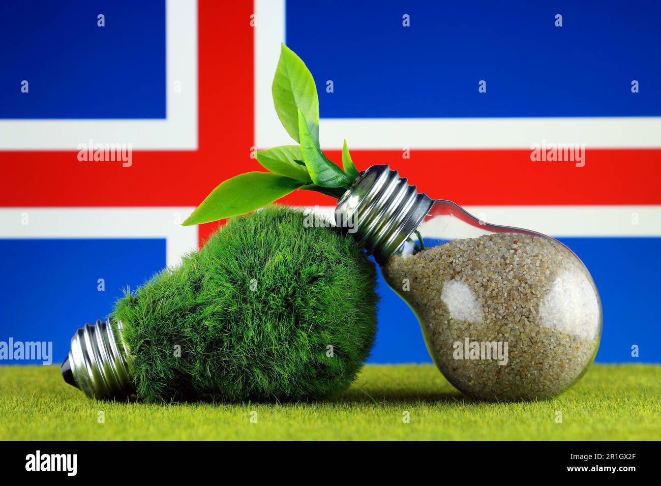 Green eco light bulb with grass, plant growing inside the light bulb