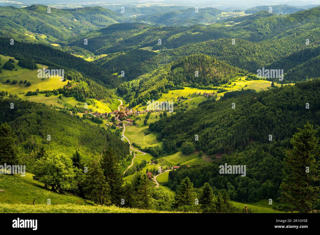 Landscape in the Black Forest. The village Neuenweg, surrounded by mountains, meadows and forest. View from mount Belchen. Kleines Wiesental, Germany. Stock Photo