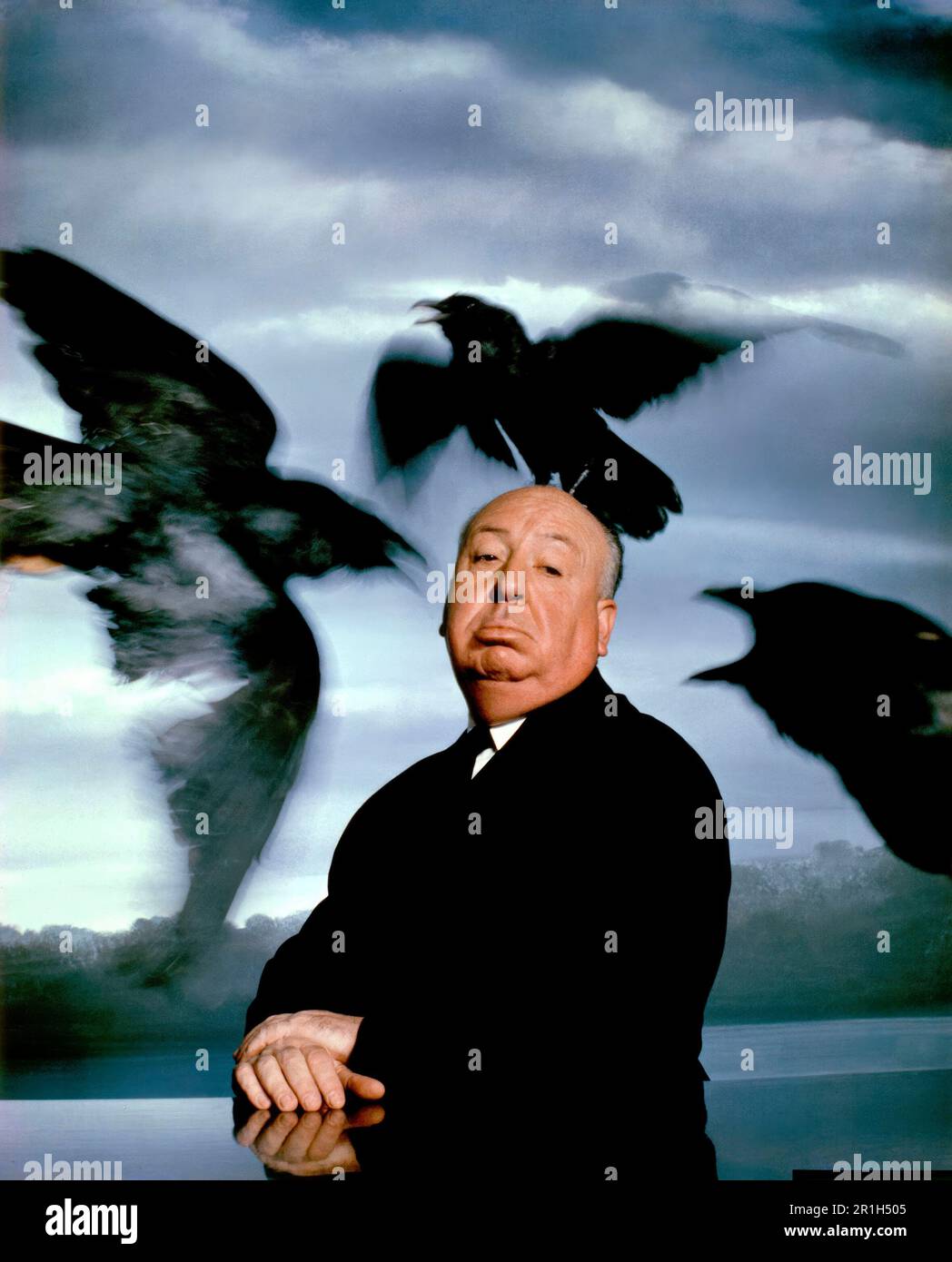 ALFRED HITCHCOCK in THE BIRDS (1963), directed by ALFRED HITCHCOCK