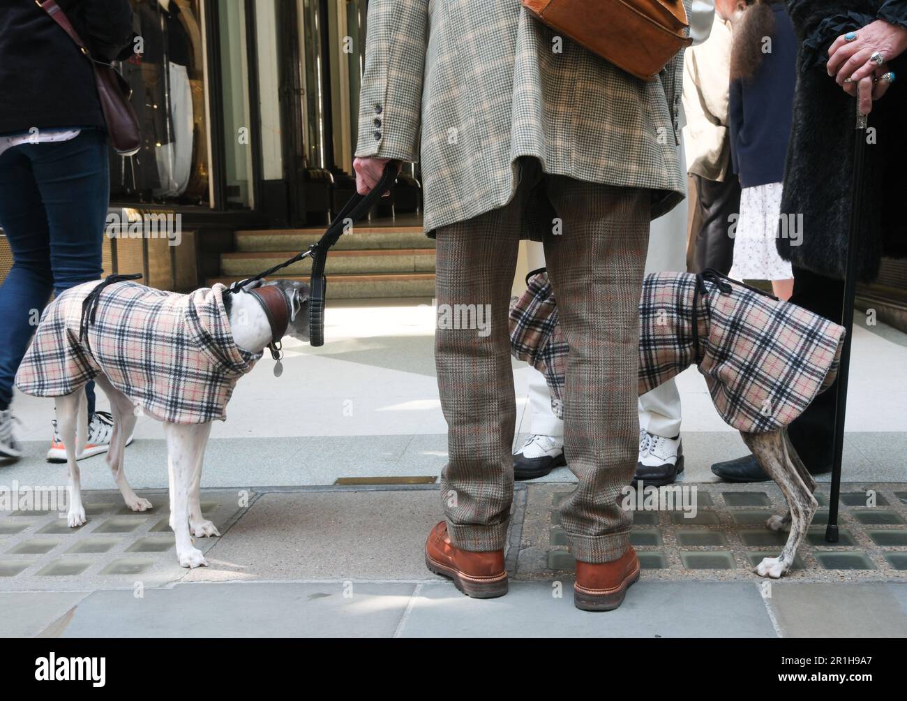 Jermyn Street, London, UK. 14th May 2023. The Third Grand Flaneur Walk in central London. Credit: Matthew Chattle/Alamy Live News Stock Photo