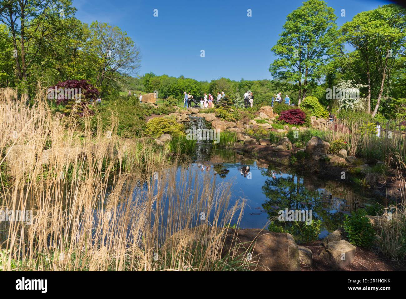 RHS Bridgewater gardens at Worsley near Manchester. Stock Photo