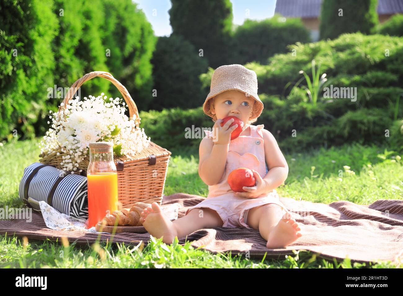 Cute little baby girl with nectarines on picnic blanket in garden Stock