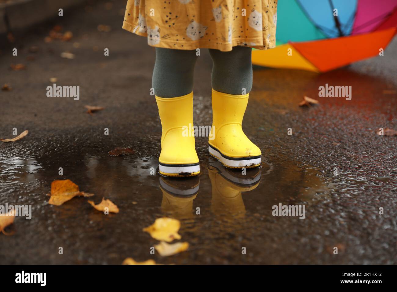 Little girl wearing yellow rubber boots standing in puddle outdoors ...