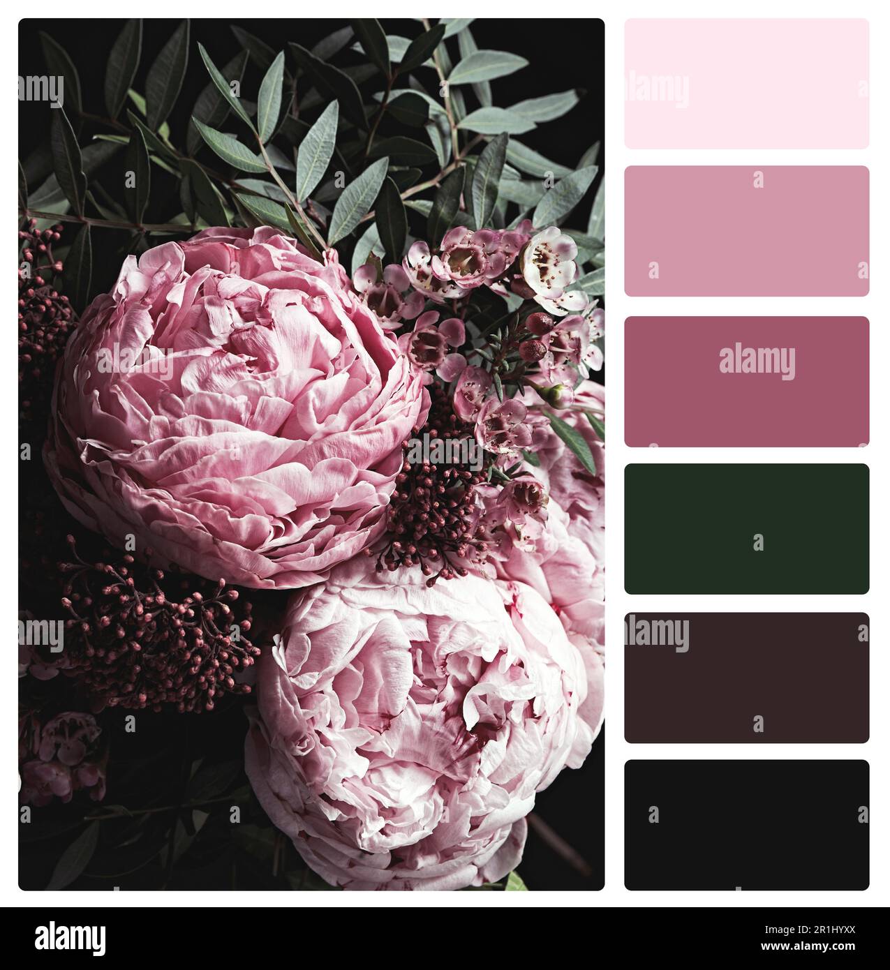 Beautiful fresh flowers and color palette. Collage Stock Photo Alamy