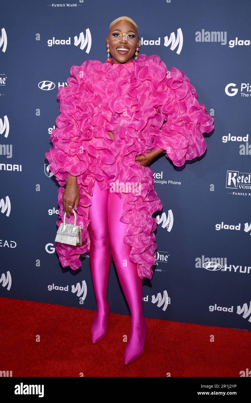 New York, USA. 13th May, 2023. Jerrie Johnson attends the 34th Annual GLAAD Media Awards at the Hilton Hotel, New York, NY, Saturday May 13, 2023. (Photo by Anthony Behar/Sipa USA) Credit: Sipa USA/Alamy Live News Stock Photo