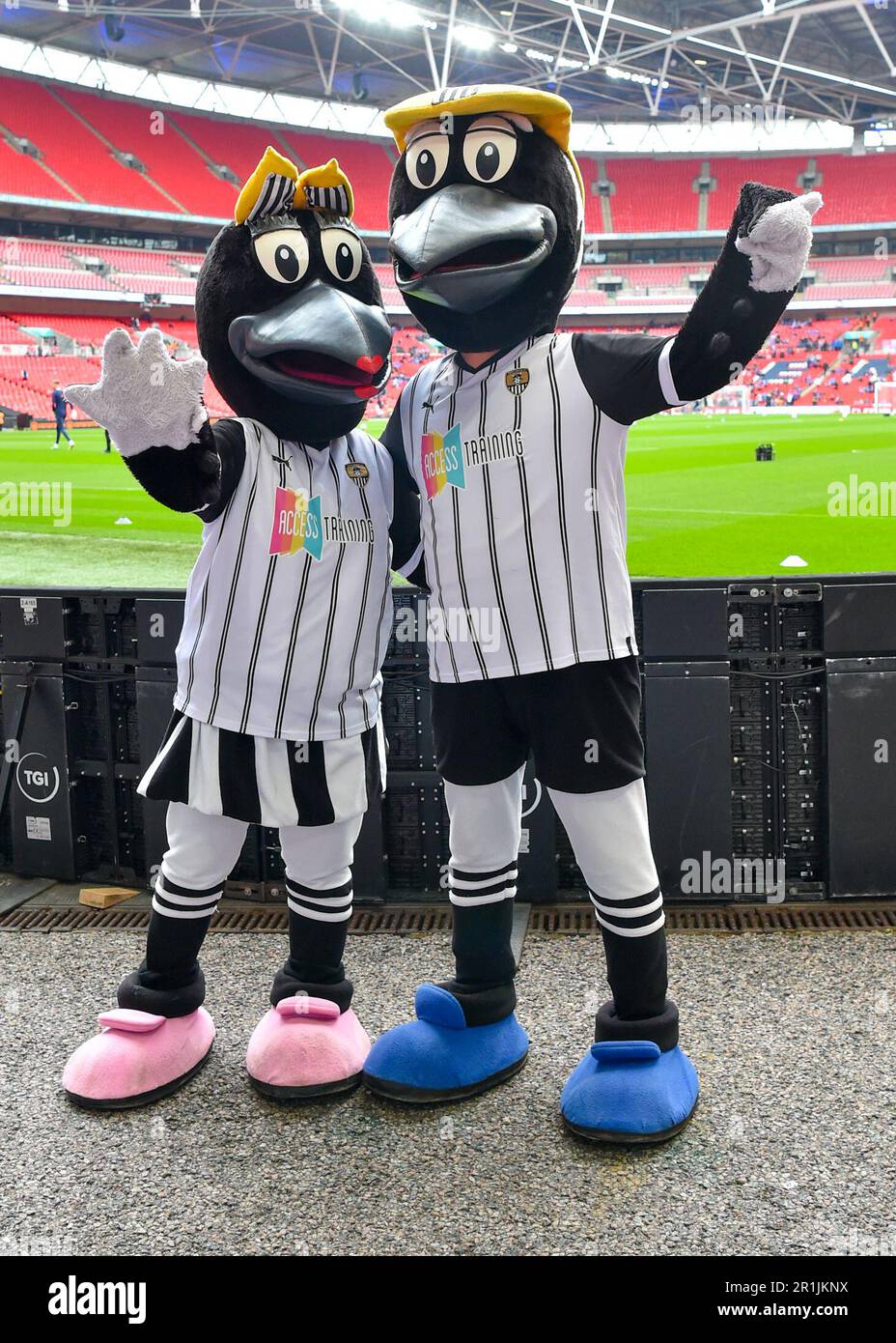 Uk sports mascots hires stock photography and images Alamy