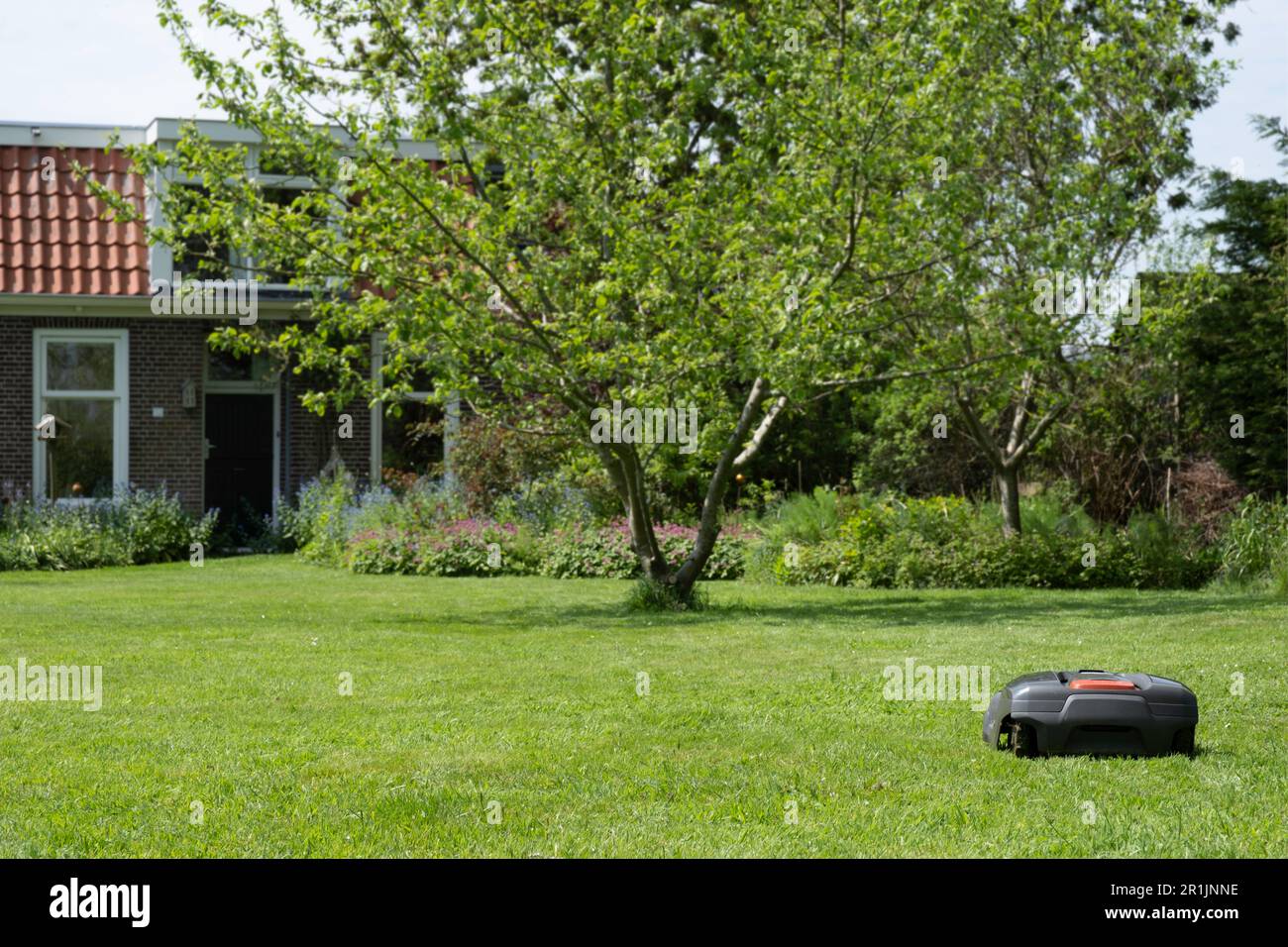 Robotic mower mows the lawn in front of a house in the Netherlands. Focus on the machine Stock Photo