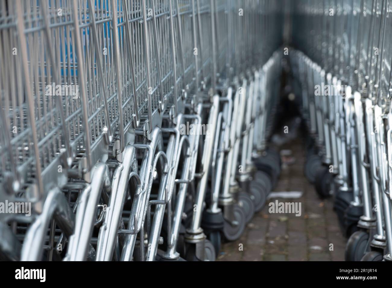 Two rows of metal supermarket shopping carts that on a street meet at