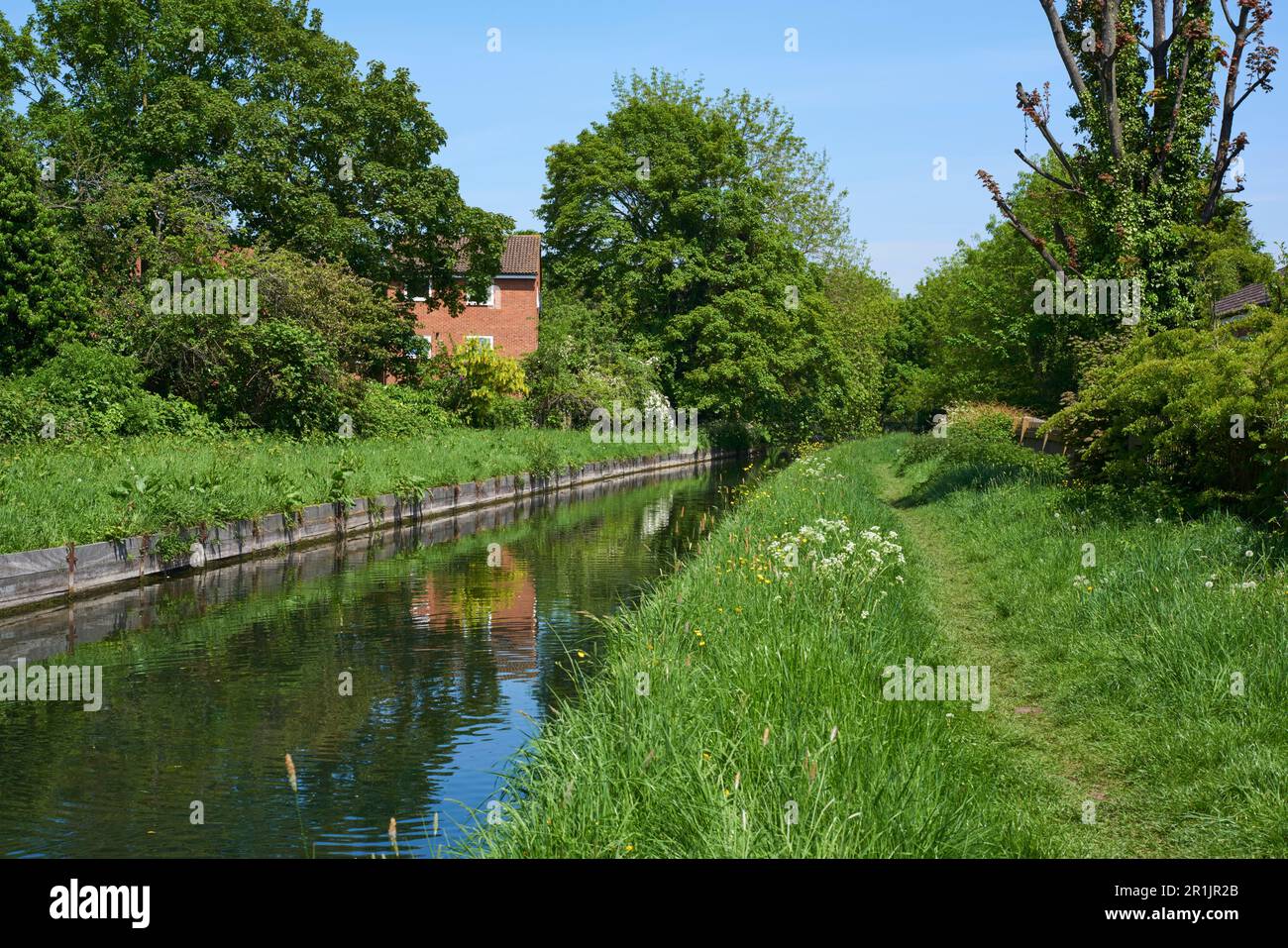 The New River in late spring at Winchmore Hill, North London UK Stock Photo Alamy