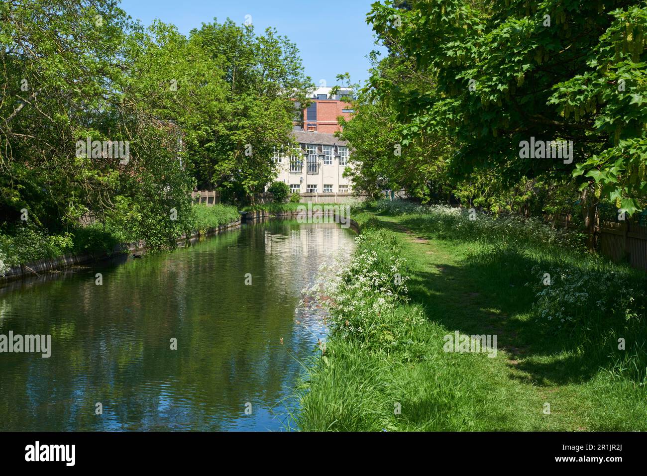 The New River Path in springtime at Winchmore Hill, North London UK Stock Photo Alamy