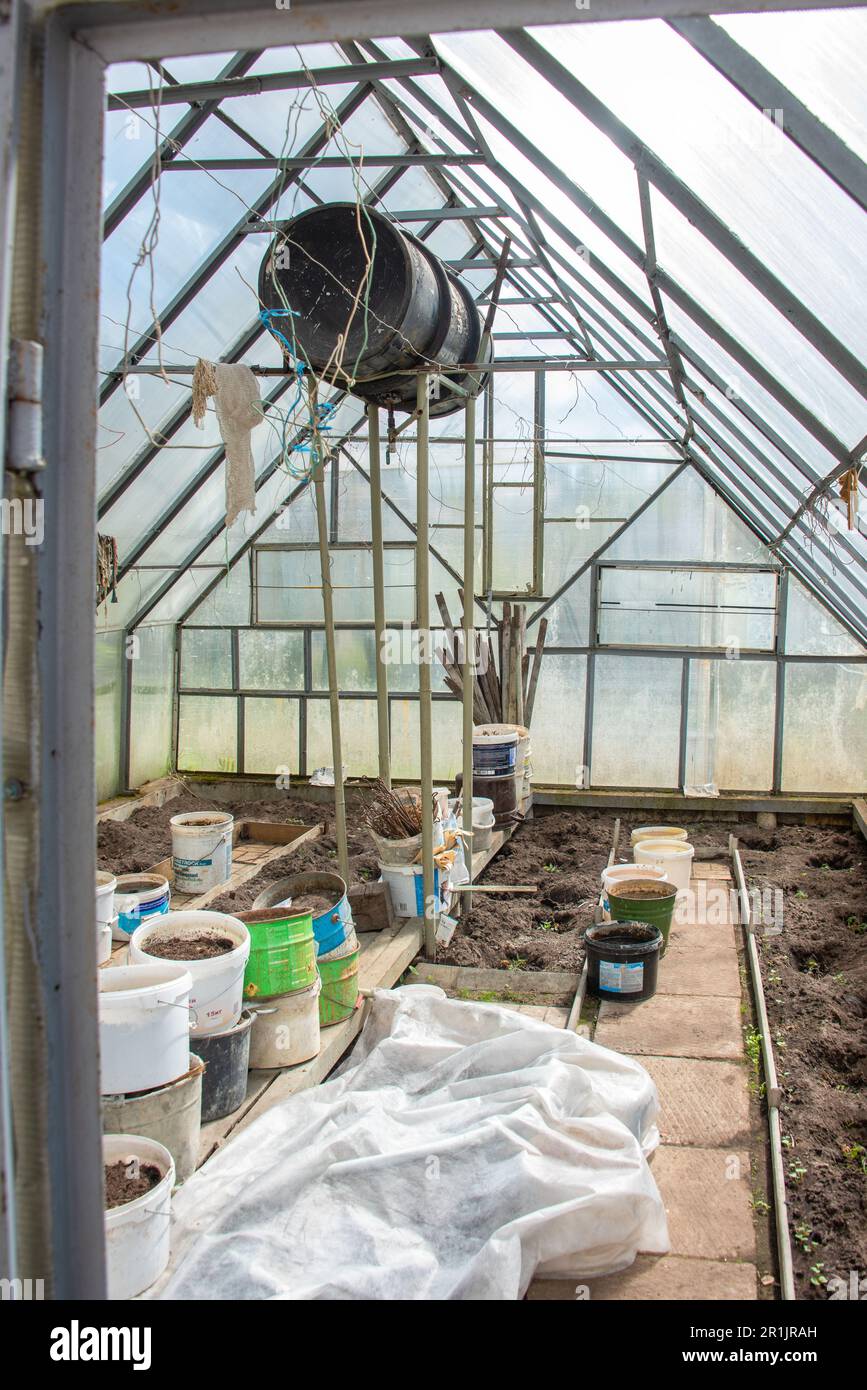 Greenhouse interior with water tank under the roof in early spring ...